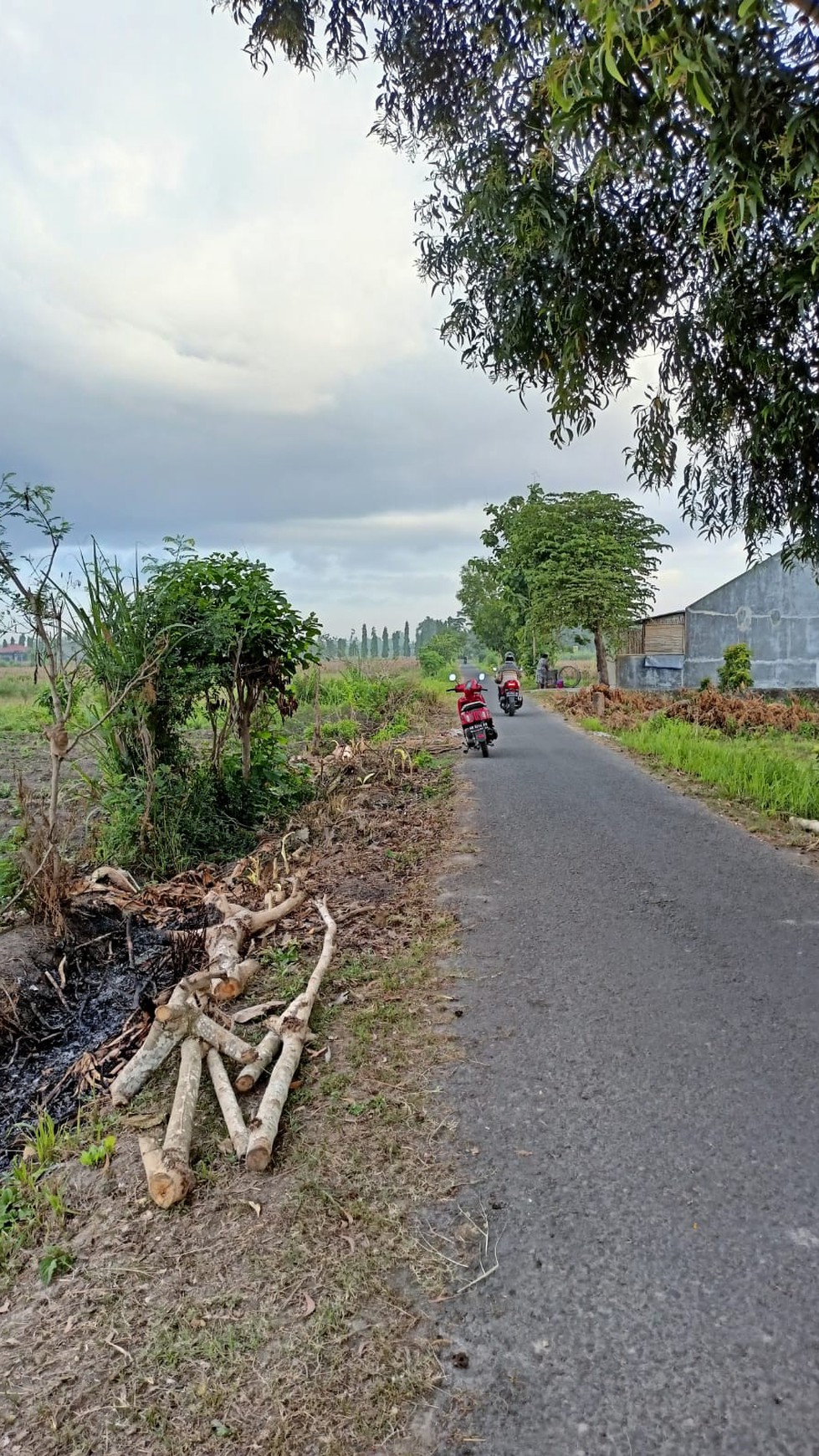 Tanah Sawah Seluas 1507 Meter Persegi Lokasi Ganjuran Bantul