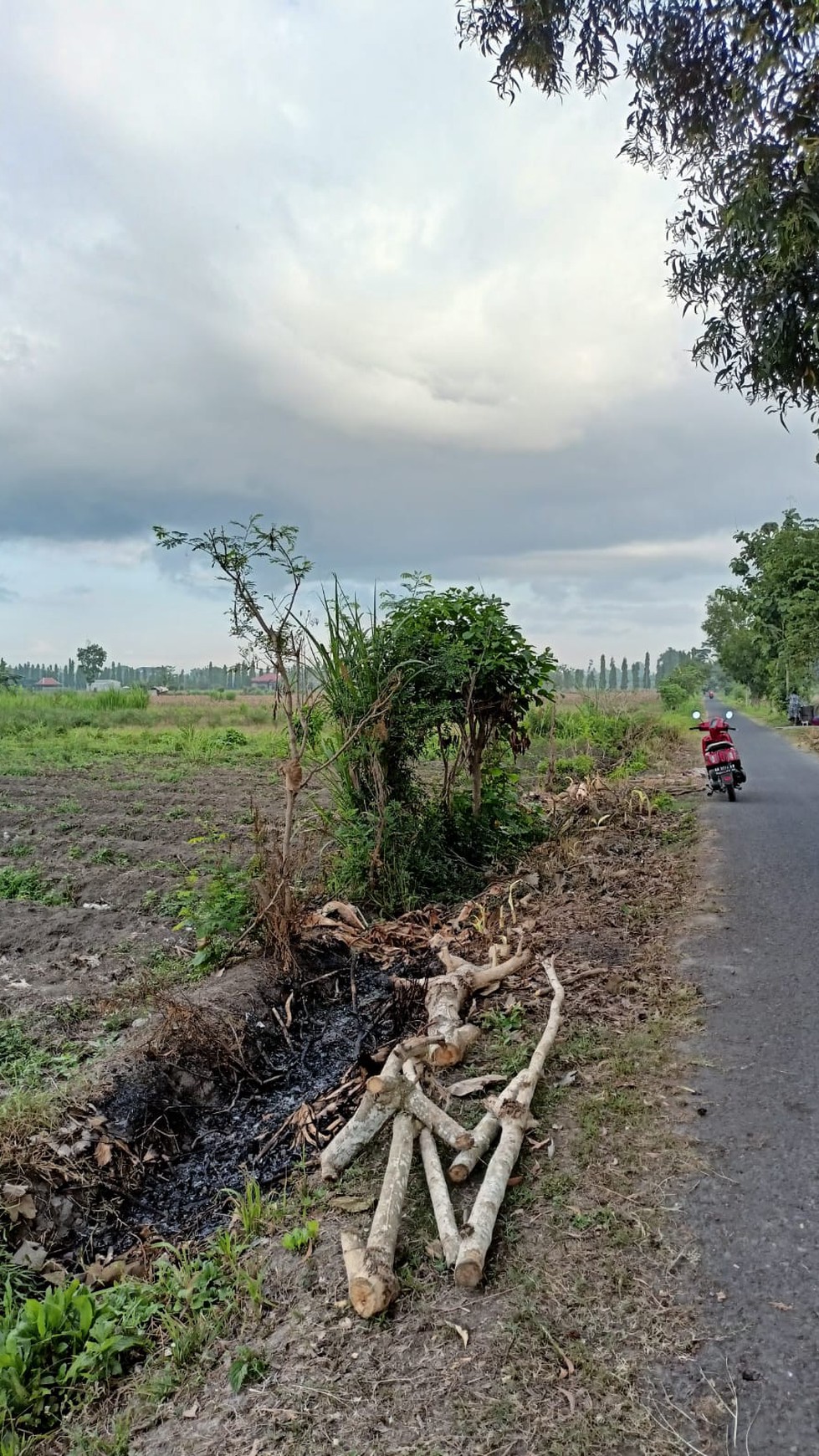 Tanah Sawah Seluas 1507 Meter Persegi Lokasi Ganjuran Bantul