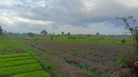 Tanah Sawah Seluas 1507 Meter Persegi Lokasi Ganjuran Bantul