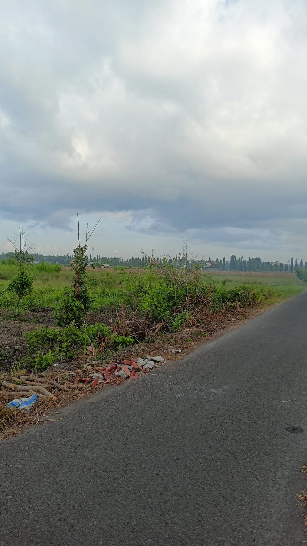 Tanah Sawah Seluas 1507 Meter Persegi Lokasi Ganjuran Bantul