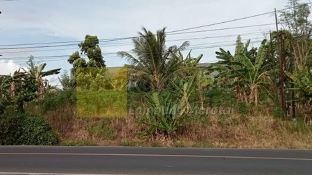 Dijual Tanah cocok untuk usaha , inves. lokasi kalianda lampung selatan bandar lampung