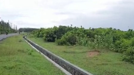 Tanah di jalan raya Binuangeun, Banten. Lokasi di pinggir pantai. Cocok usaha wisata.