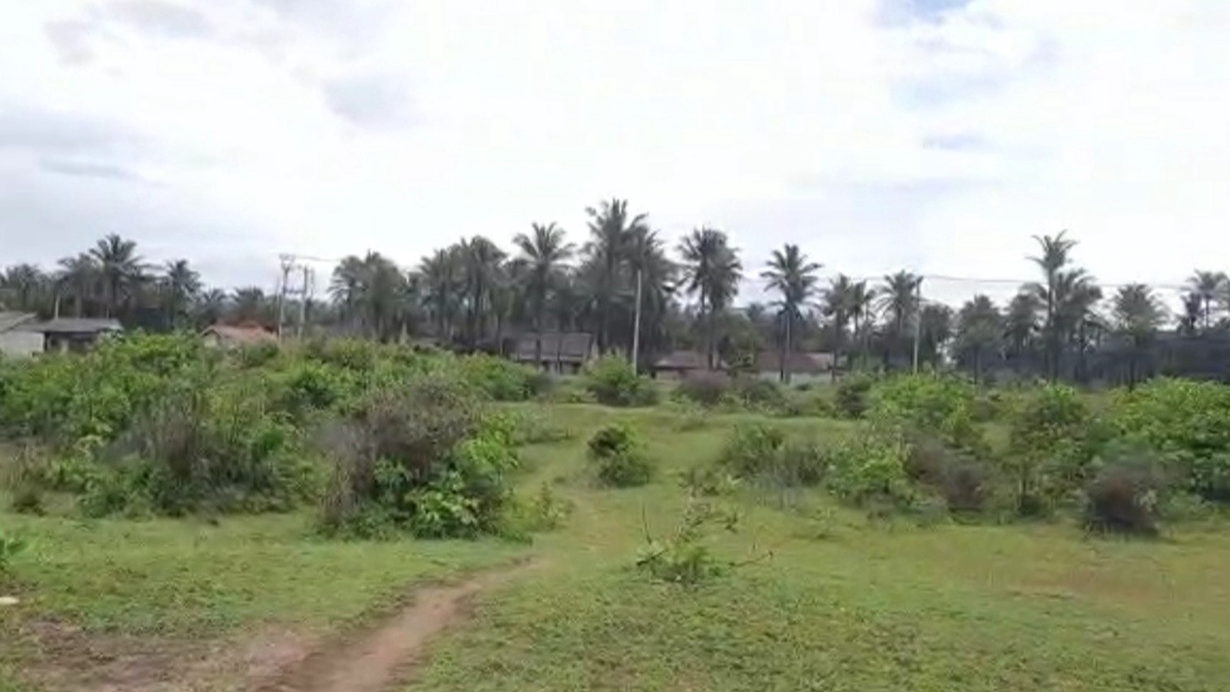 Tanah di jalan raya Binuangeun, Banten. Lokasi di pinggir pantai. Cocok usaha wisata.