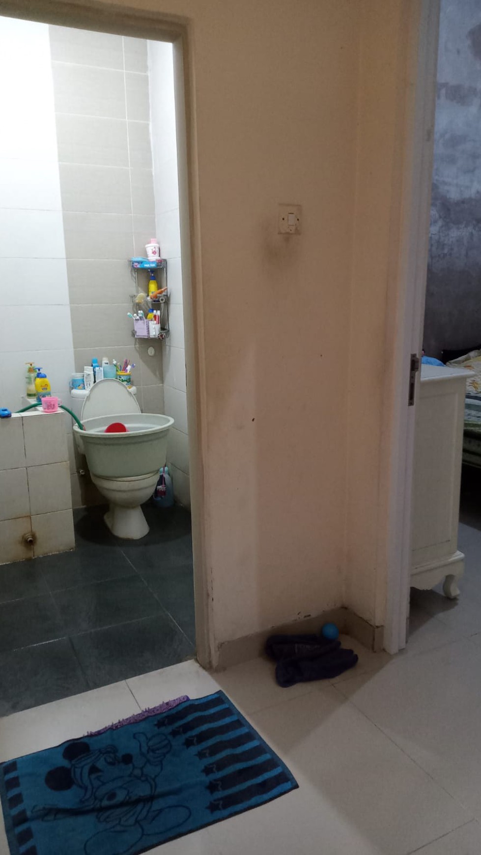Dijual Perum. Green Mansion Regency Blok Kasandra