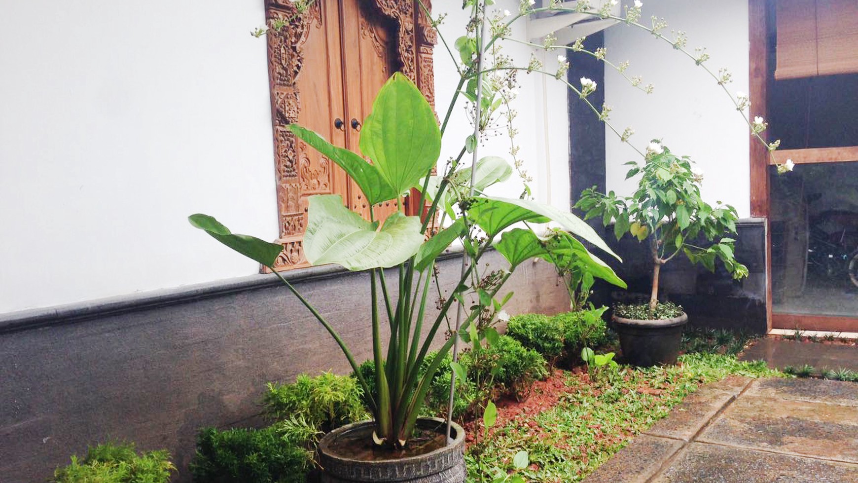 Rumah Nyaman dan Siap Huni di Kawasan Mutiara Duta, Depok