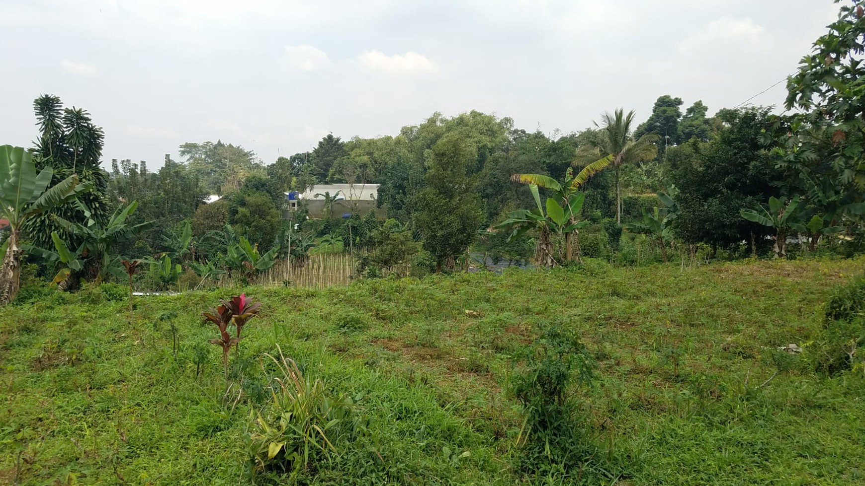 Kavling Murah Siap Bangun dan Cocok dijadikan Villa @Taman Sari, Ciapus