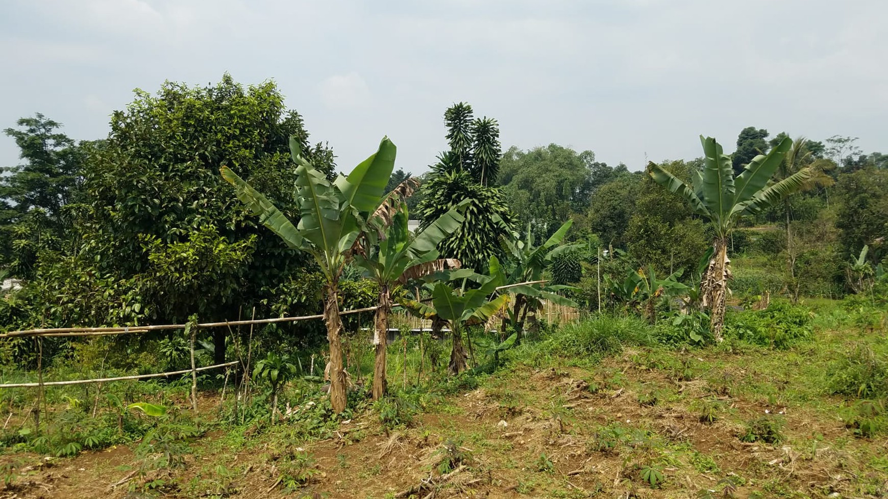 Kavling Murah Siap Bangun dan Cocok dijadikan Villa @Taman Sari, Ciapus