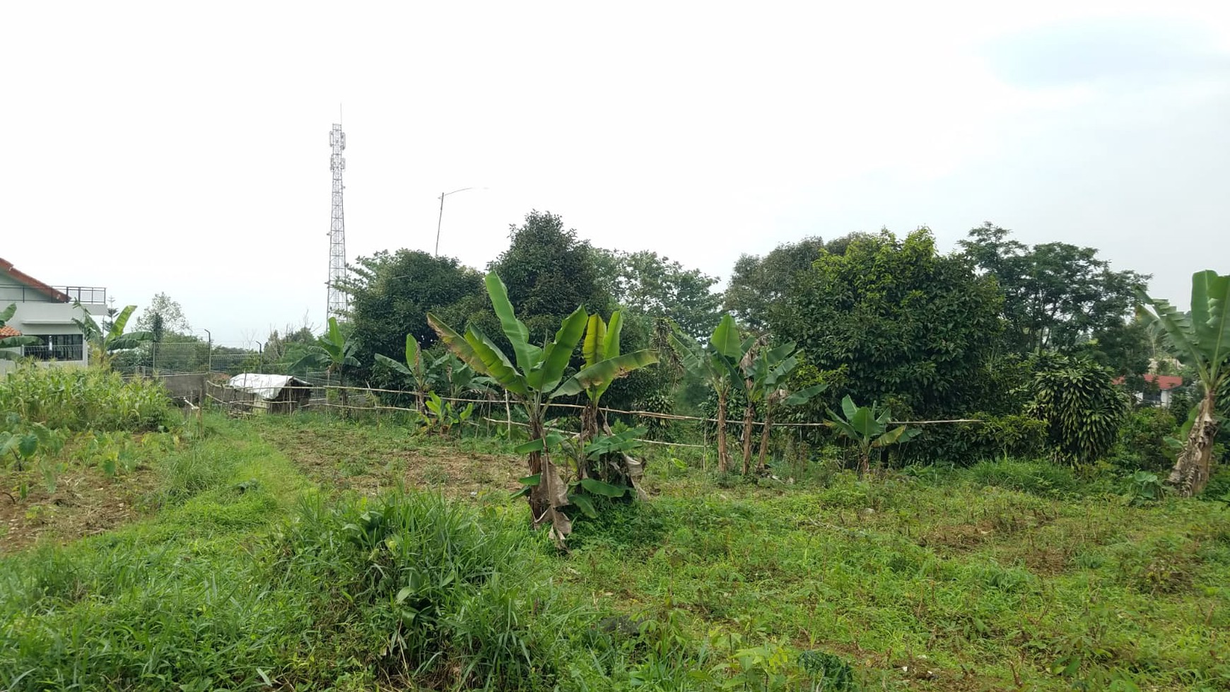 Kavling Murah Siap Bangun dan Cocok dijadikan Villa @Taman Sari, Ciapus