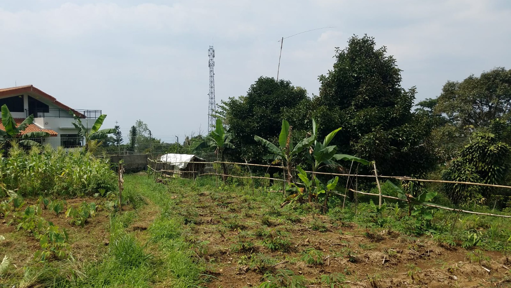 Kavling Murah Siap Bangun dan Cocok dijadikan Villa @Taman Sari, Ciapus