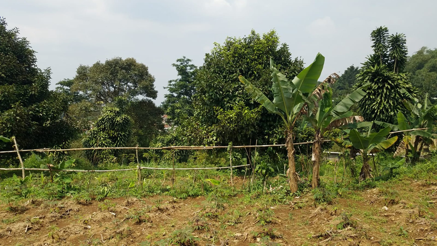 Kavling Murah Siap Bangun dan Cocok dijadikan Villa @Taman Sari, Ciapus