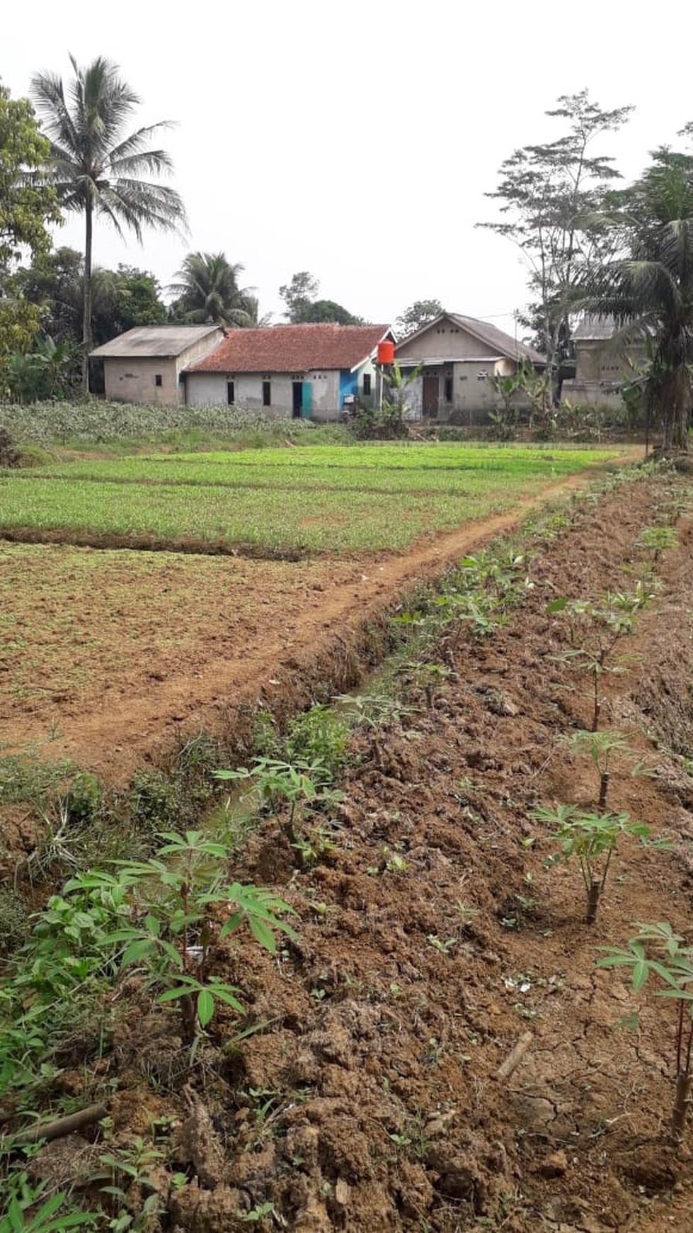 Tanah Lokasi Pedesaan di Bogor