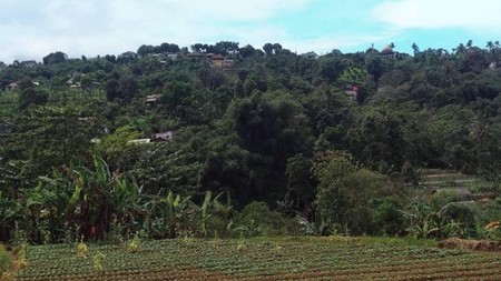 Tanah Subur di Cisarua Bogor
