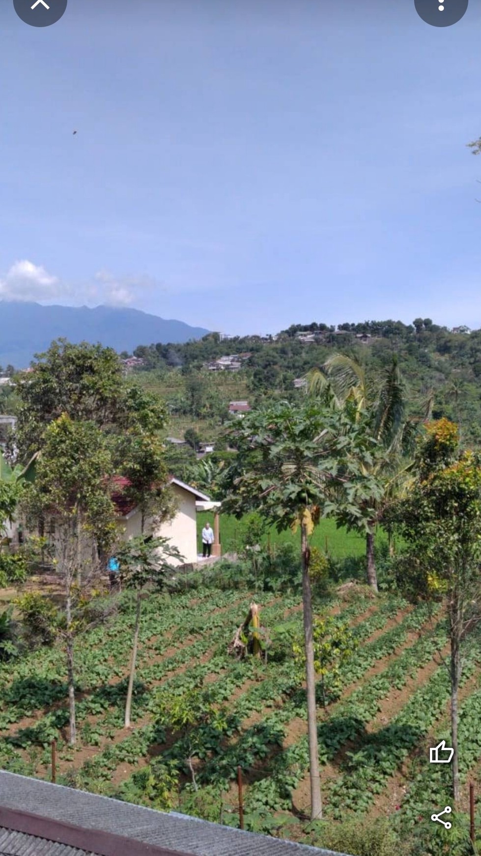 Tanah Subur di Cisarua Bogor