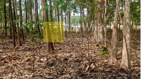 Dijual Tanah di Lampung Selatan