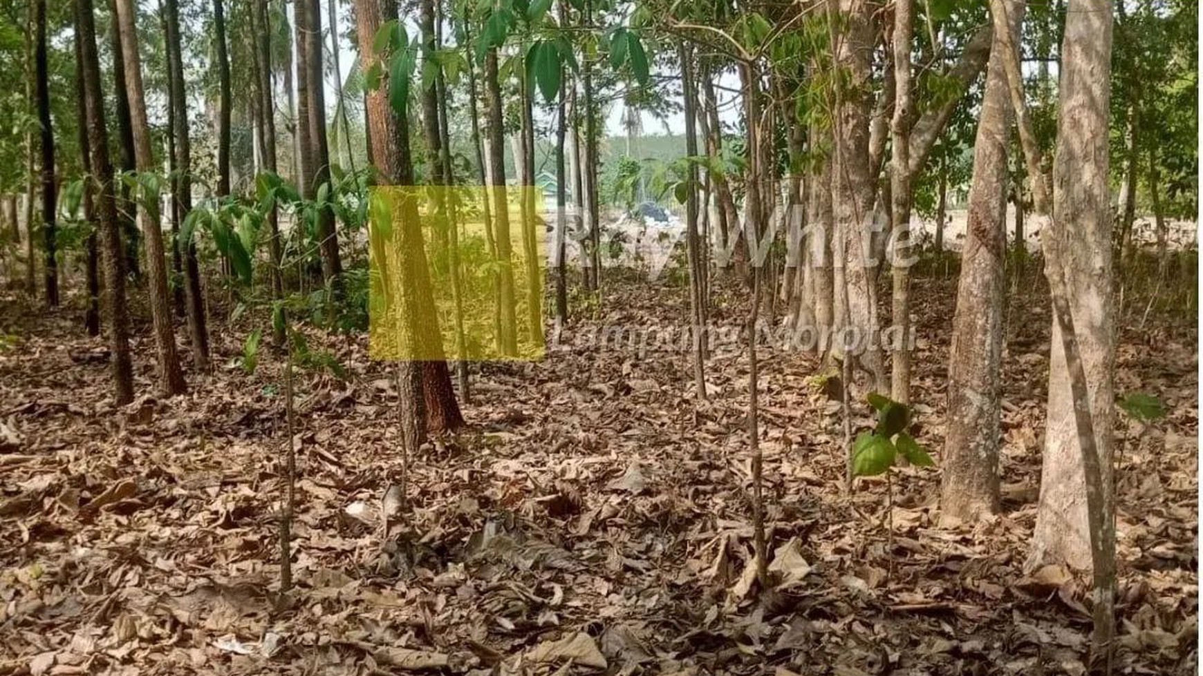 Dijual Tanah di Lampung Selatan