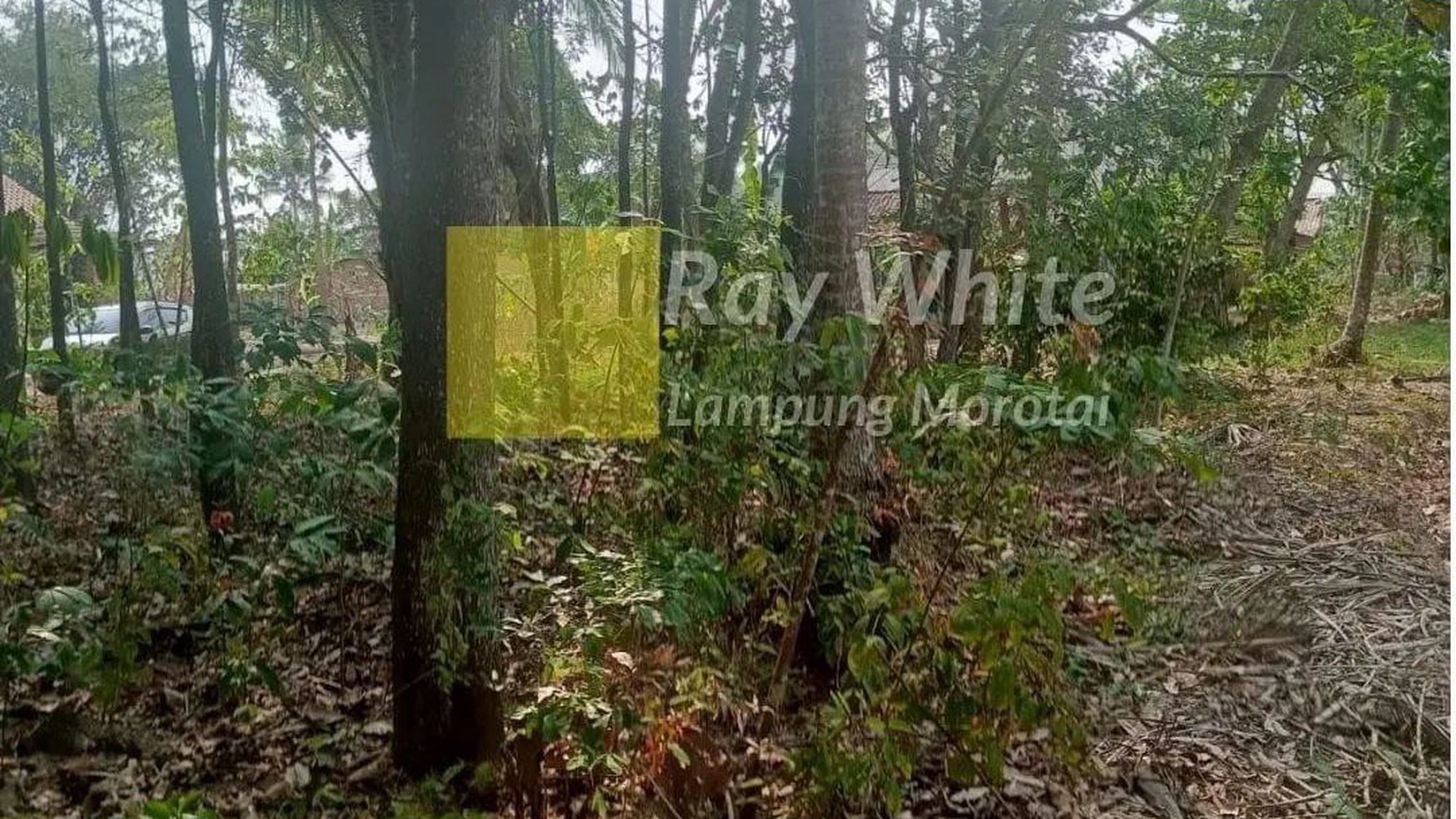 Dijual Tanah di Lampung Selatan