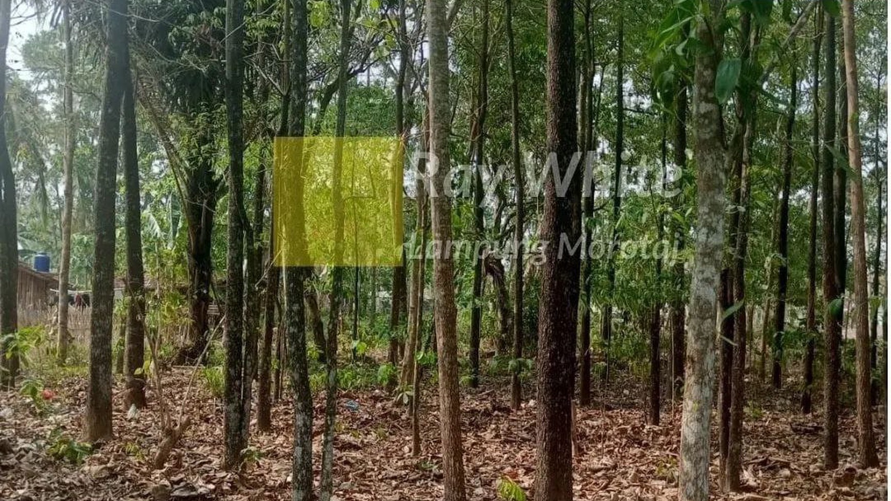 Dijual Tanah di Lampung Selatan