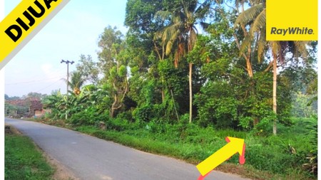 Dijual Tanah murah lokasi natar bandar lampung selatan