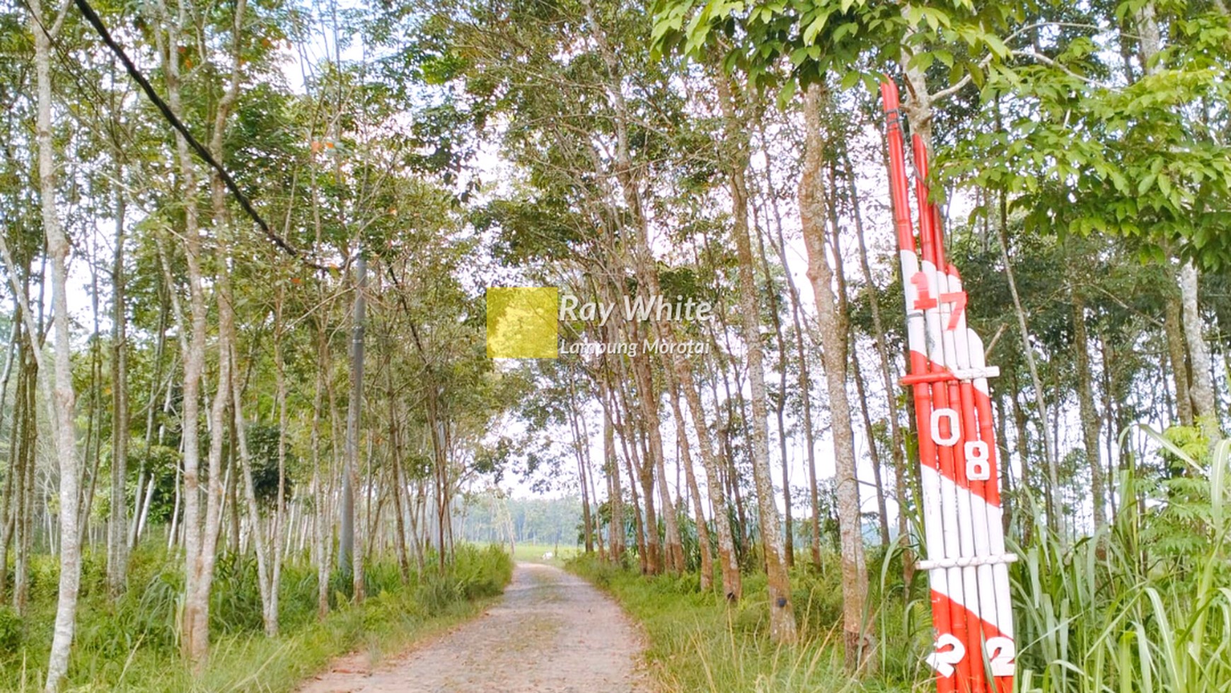 Dijual Tanah murah lokasi dekat SPBU ITERA bandar lampung