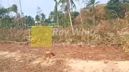 dijual tanah murah pinggir jalan natar