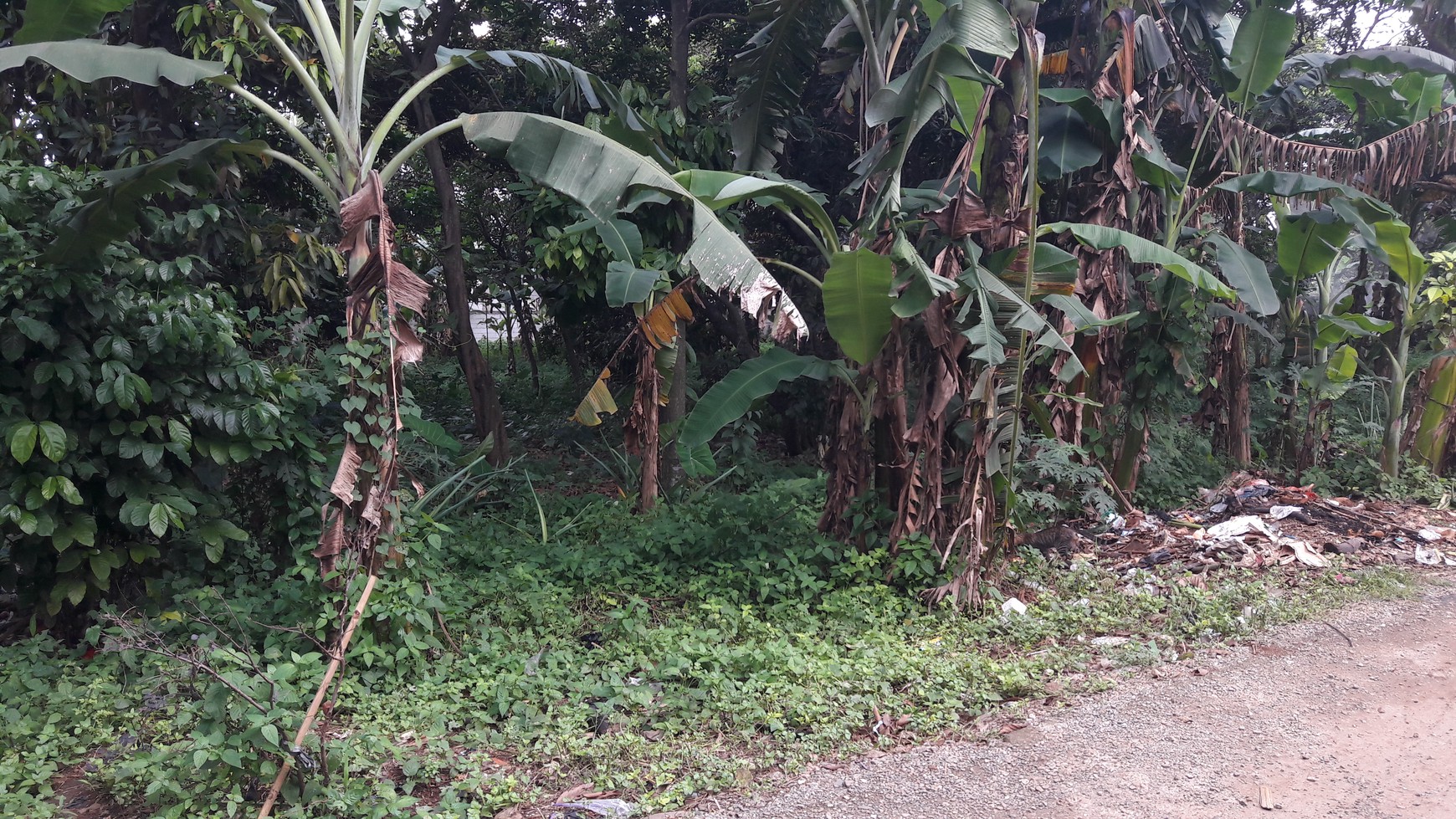 Kavling 3529 m2 di Cikeas Udik, Gunung Putri, Bogor