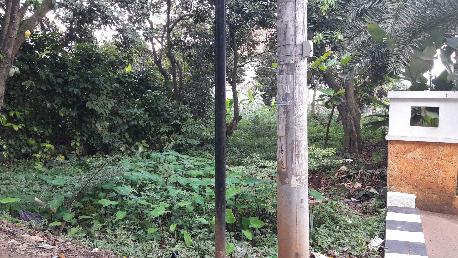 Kavling 3529 m2 di Cikeas Udik, Gunung Putri, Bogor