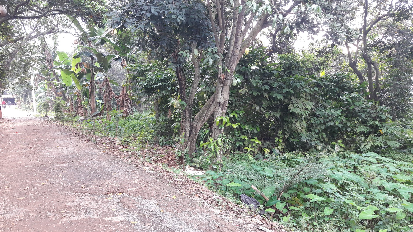 Kavling 3529 m2 di Cikeas Udik, Gunung Putri, Bogor