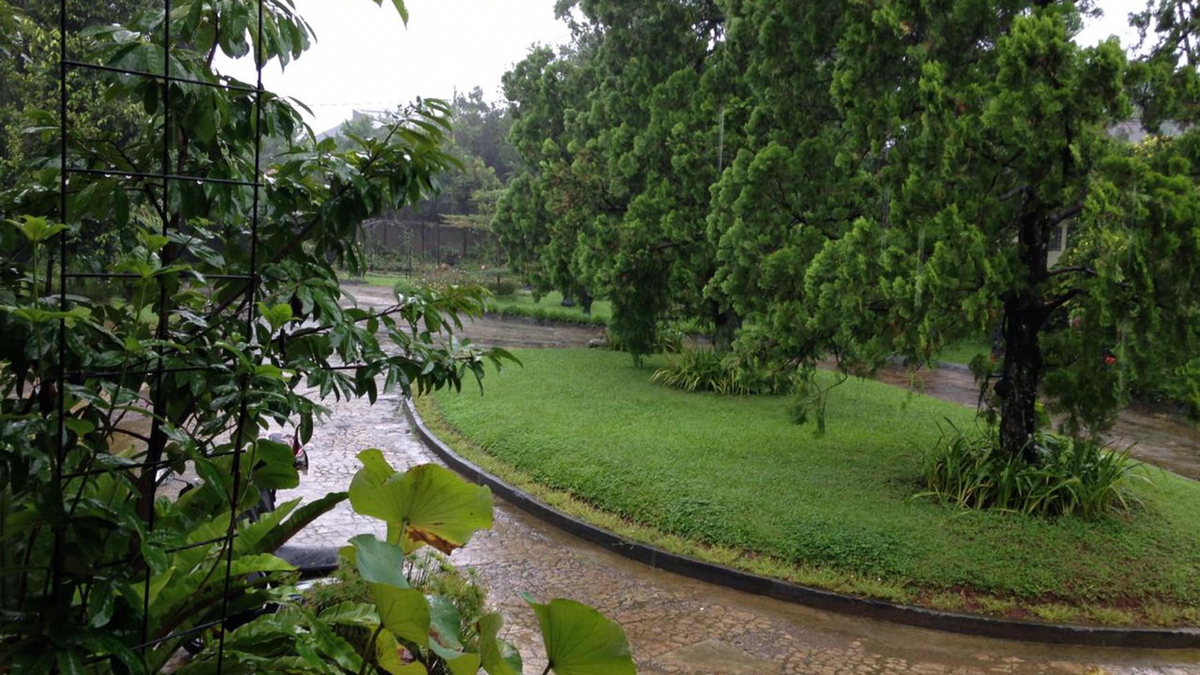 Hotel cantik siap huni daerah ciawi bogor