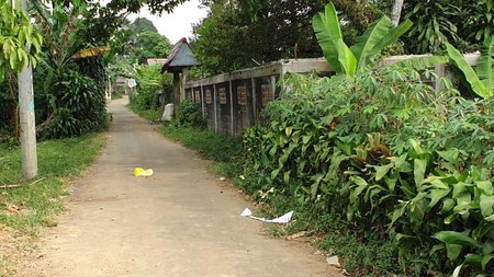 Turun Harga Tanah 1 hektar siap bangun di Muarasari Tajur Bogor