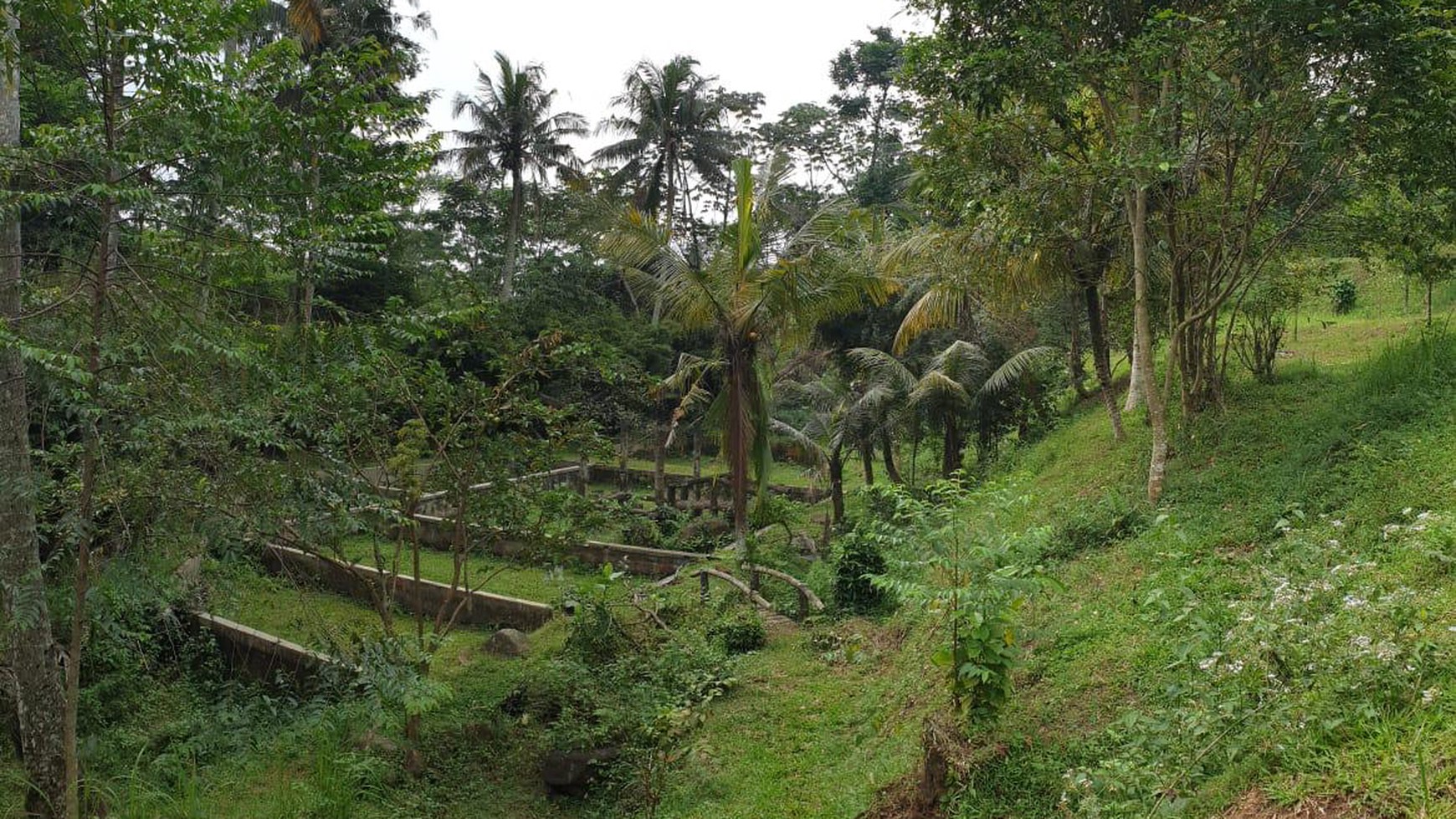 Turun Harga Tanah 1 hektar siap bangun di Muarasari Tajur Bogor