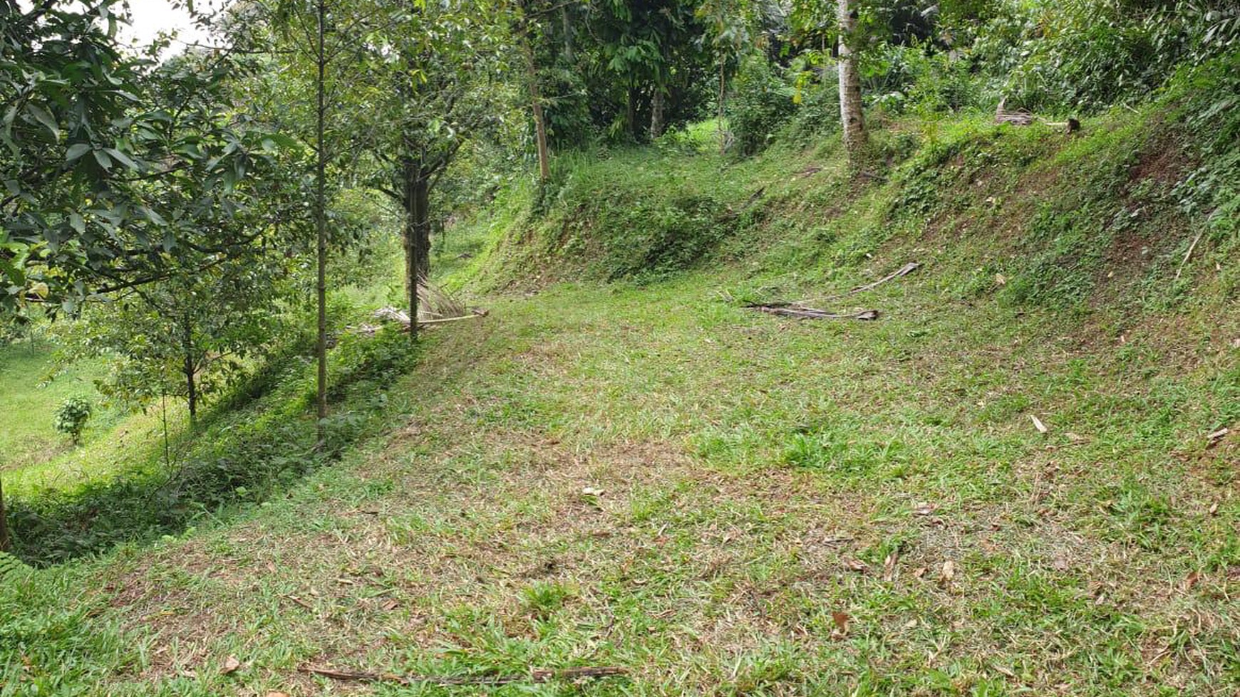 Turun Harga Tanah 1 hektar siap bangun di Muarasari Tajur Bogor