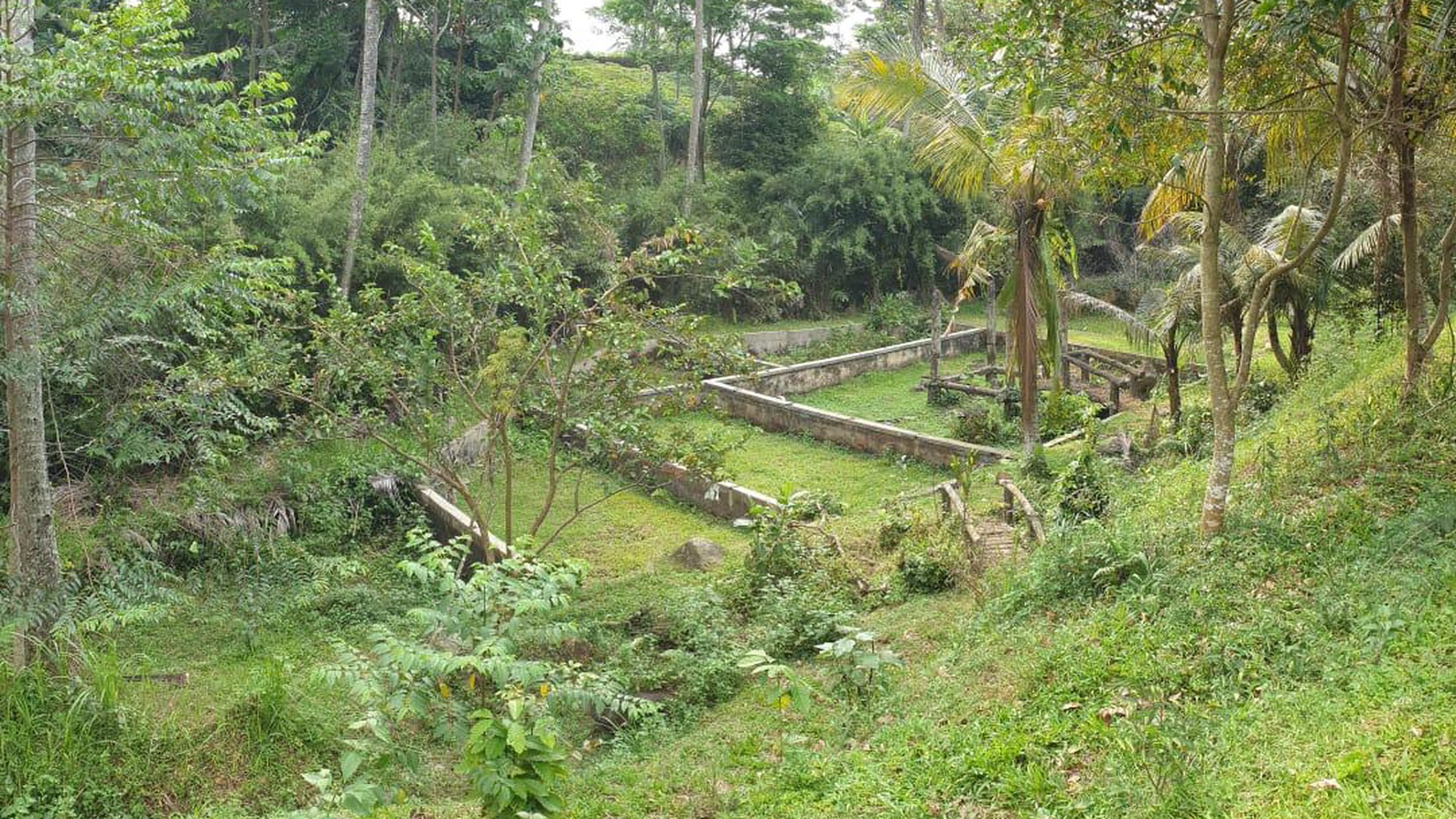 Turun Harga Tanah 1 hektar siap bangun di Muarasari Tajur Bogor