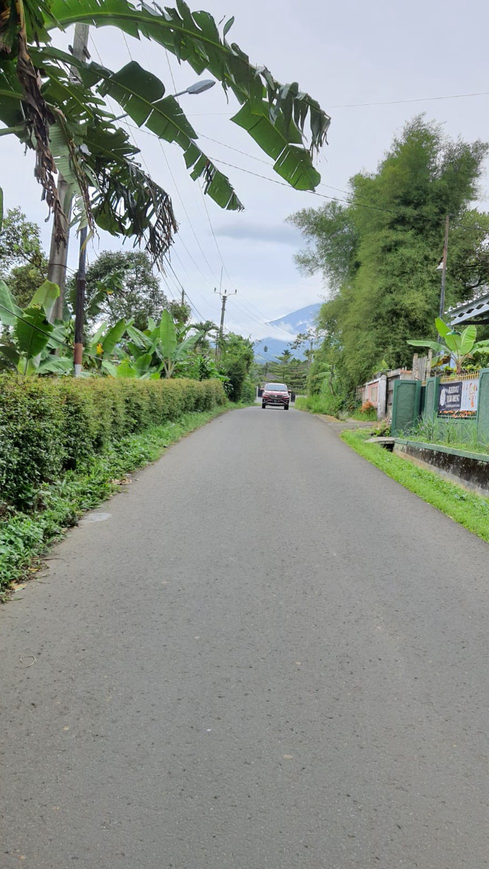 Investasi Kavling + Sawah, Bonus Rumah Villa 