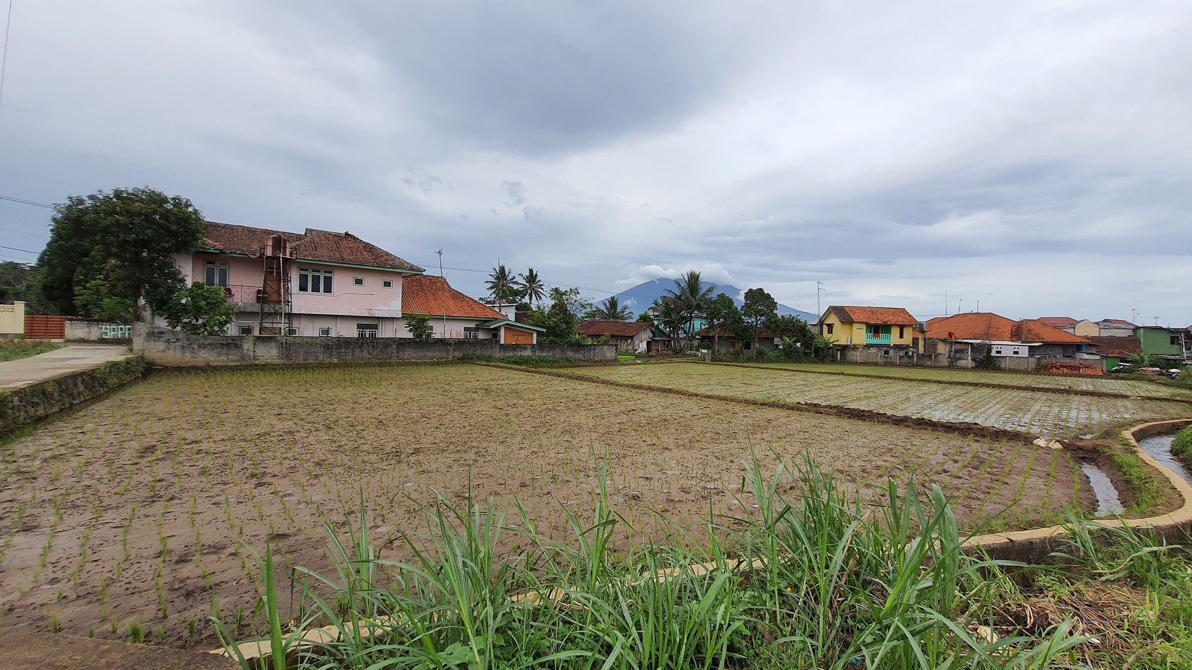 Investasi Kavling + Sawah, Bonus Rumah Villa 