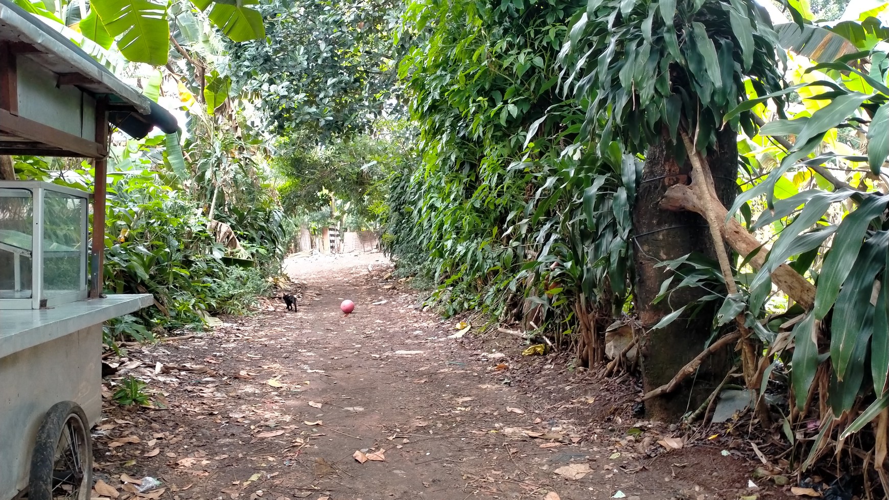 Tanah Pinggir Jalan Raya, Cocok Untuk Gudang, Pabrik atau Bangun Town House, Lokasi Strategis, Harga Nego