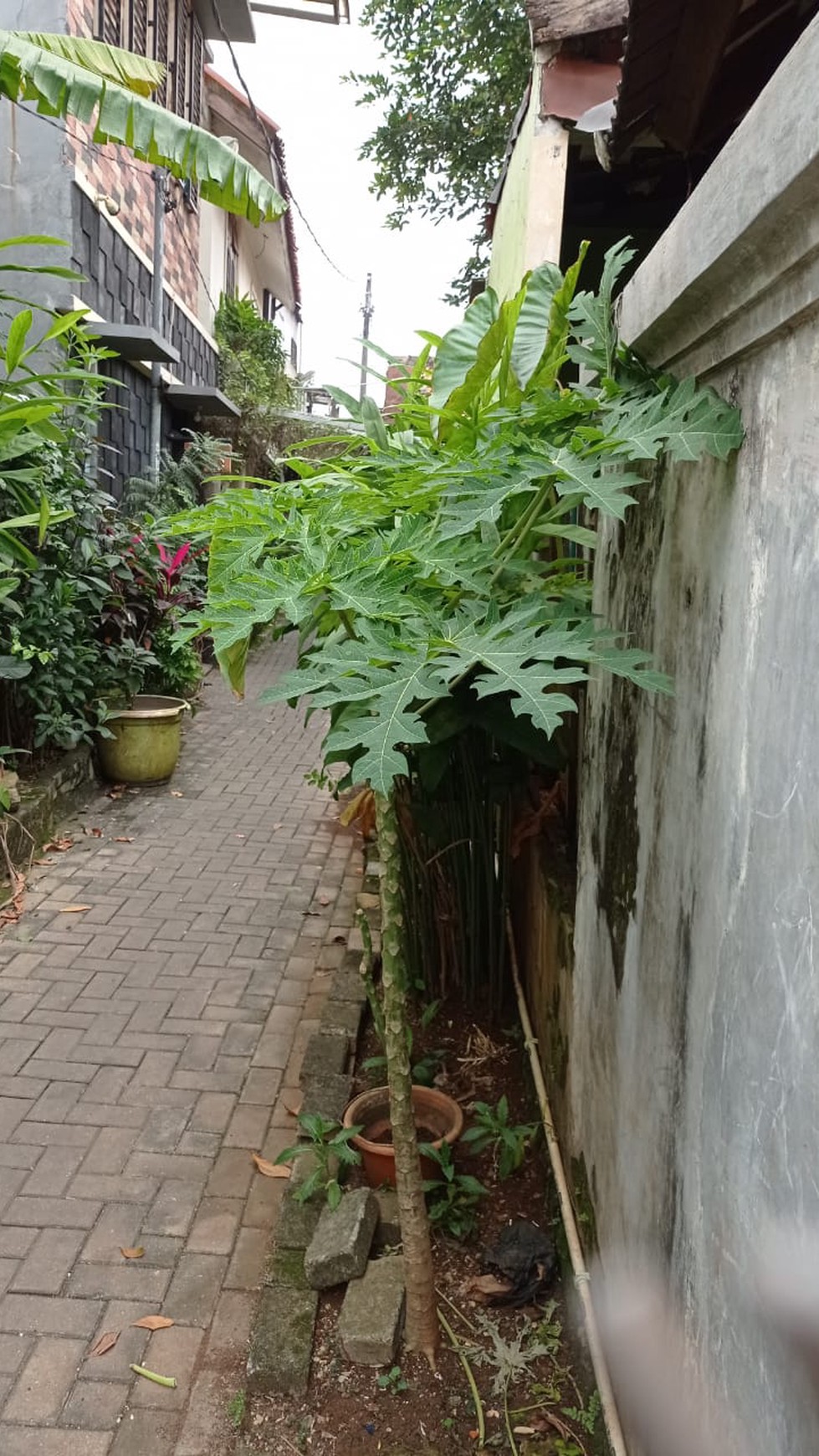 Rumah siap huni di ciledug