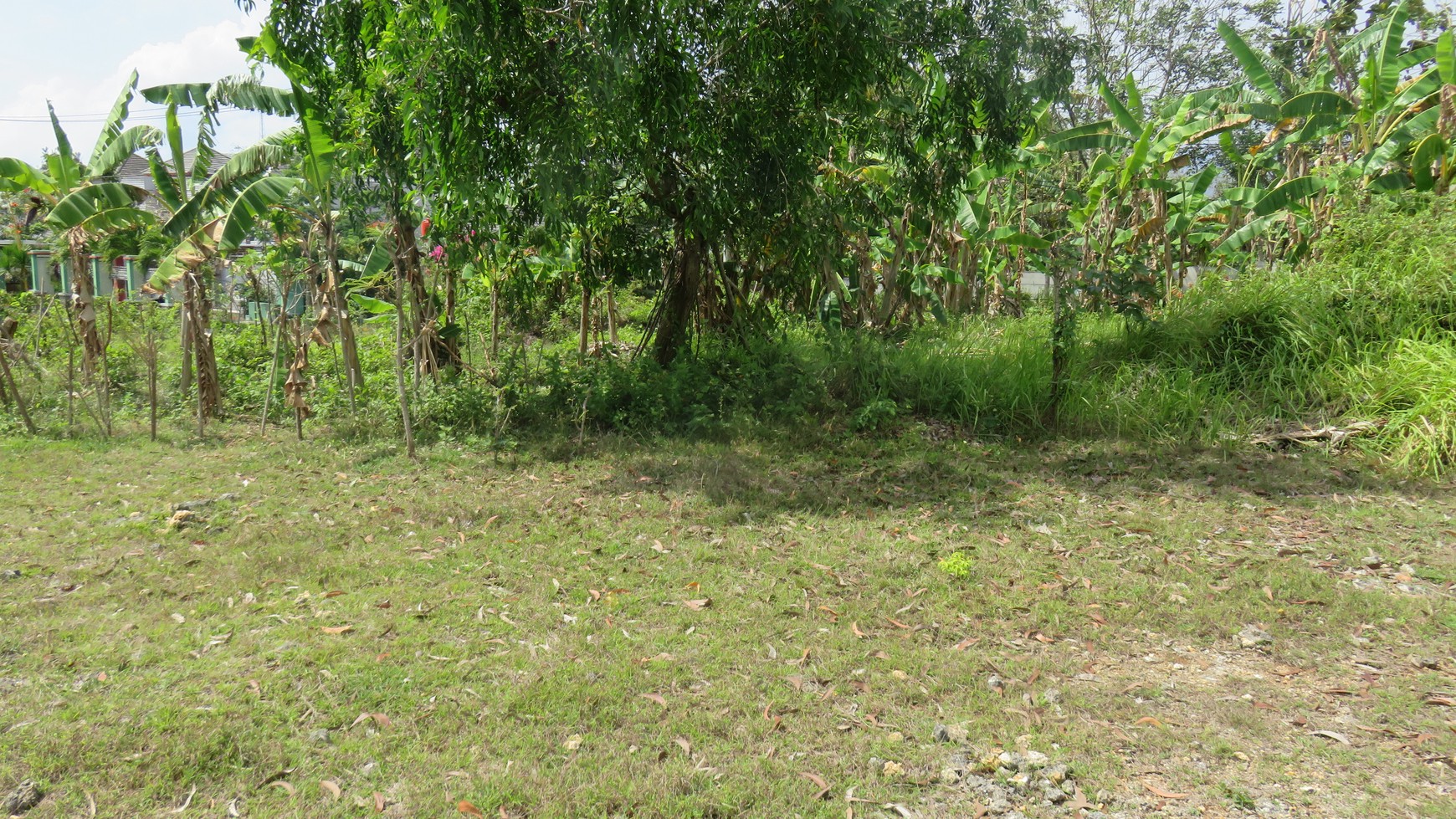 Leasehold - Available 500 sqm Land Located in Uluwatu