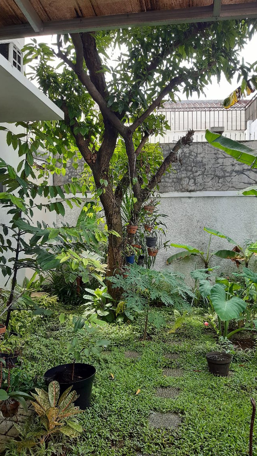 Rumah Siap Huni dengan Halaman Luas dan Lingkungan Asri @Cilandak