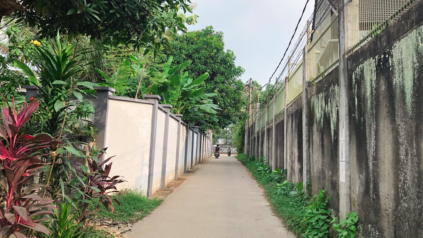 Bangunan Tua Hitang tanah Bintaro Lokasi strategis dekat BPK Penabur #CH