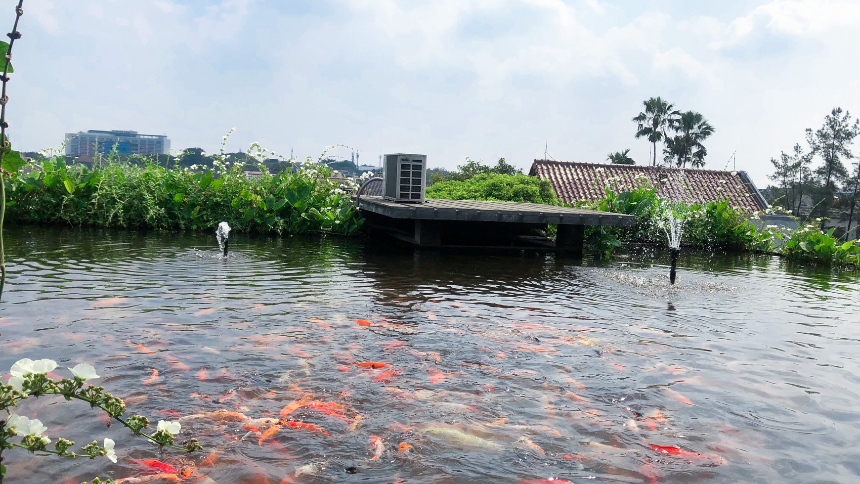 Rumah Bagus Dengan Nuasa Alam di Pisok Bintaro Jaya Sektor V #CH