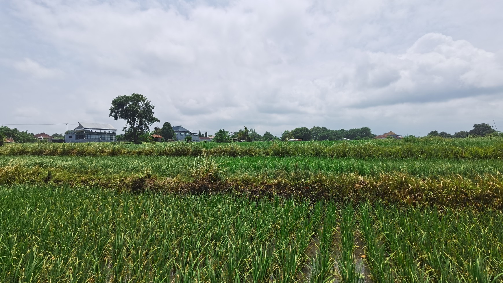 BEACH VIEW LAND LOCATED IN SINGARAJA CITY SIDE