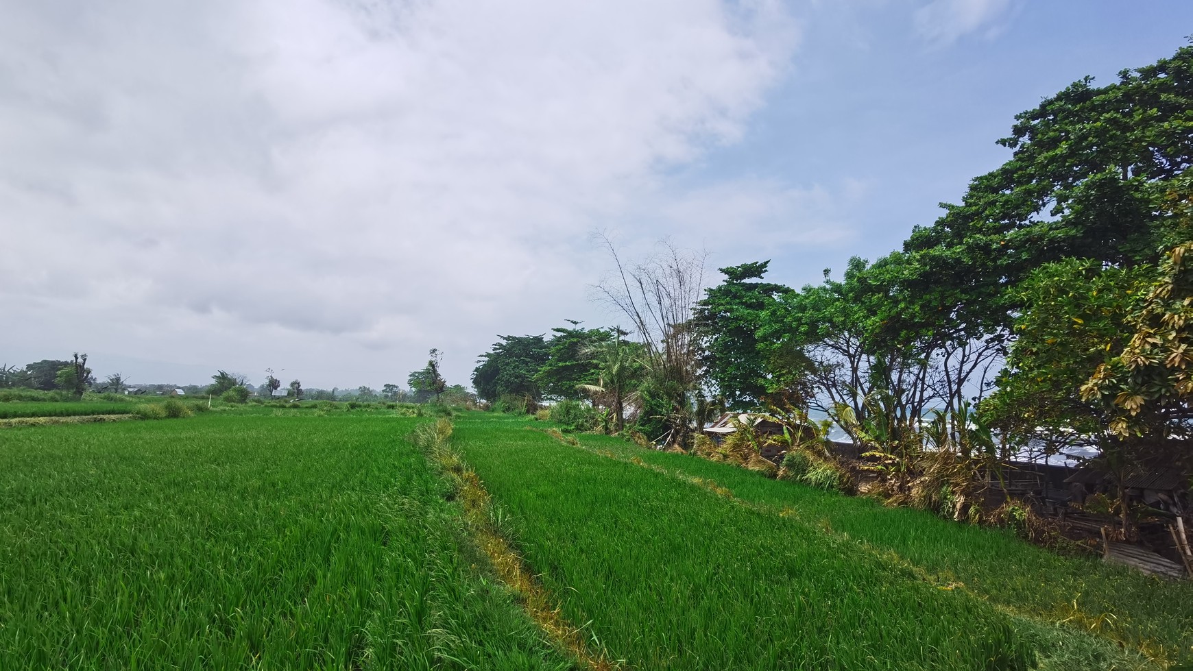 BEACH VIEW LAND LOCATED IN SINGARAJA CITY SIDE