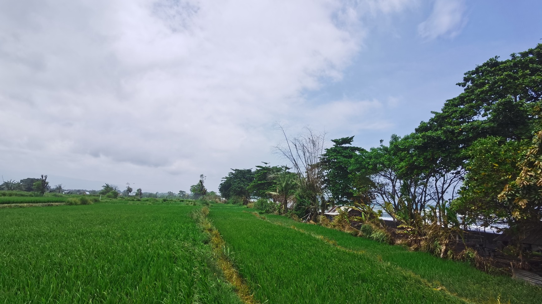 BEACH VIEW LAND LOCATED IN SINGARAJA CITY SIDE