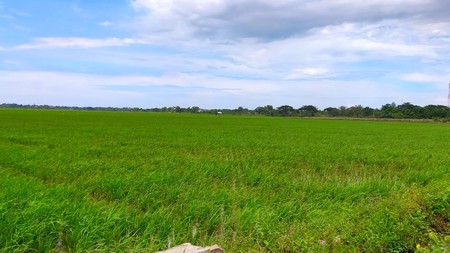 Tanah peruntukan industri di Setia Jaya Bekasi