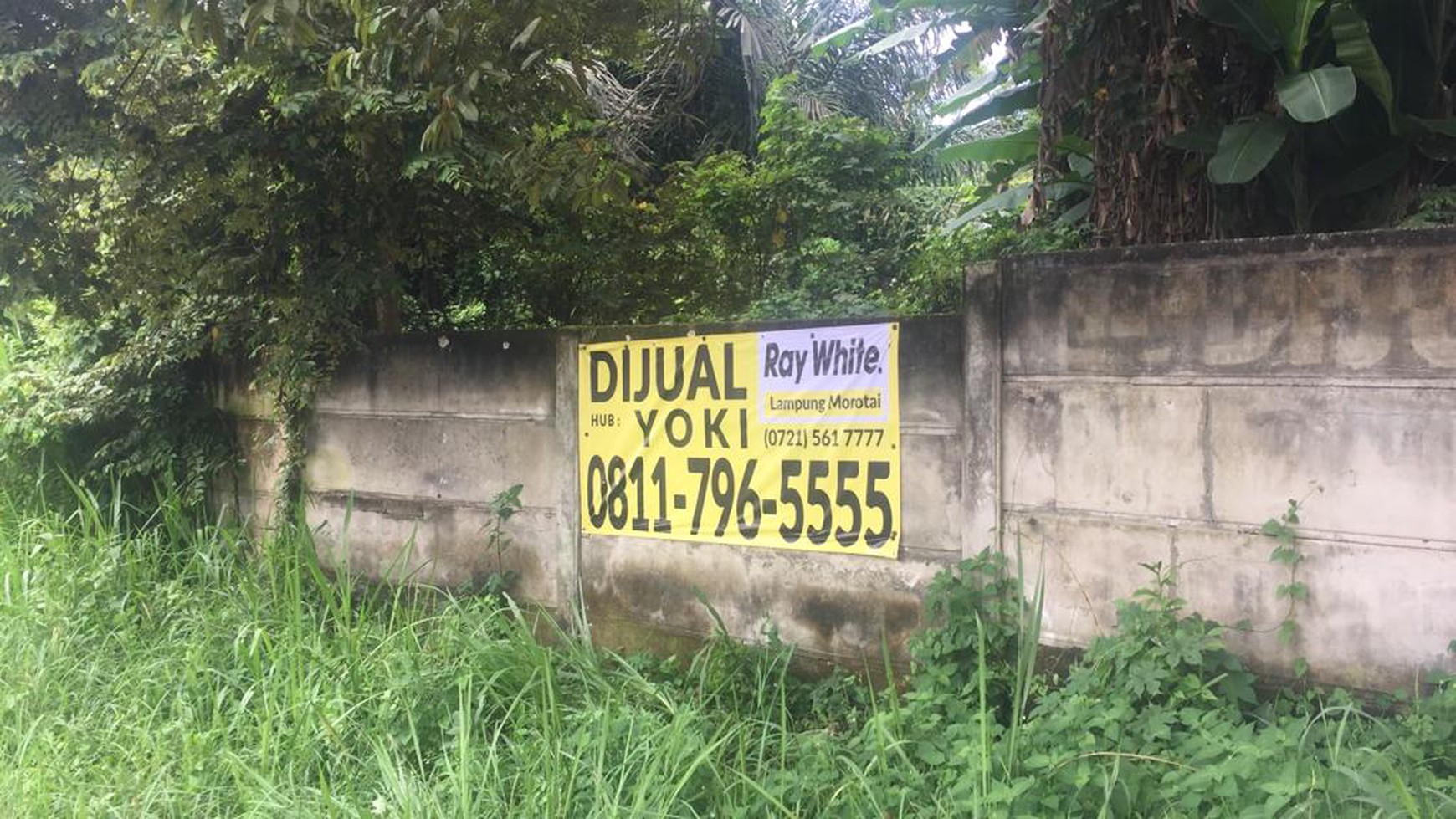 Tanah komersil dipinggir Jalan Lintas Tengah Sumatera jalan  Raden Gunawan Hajimena Lampung