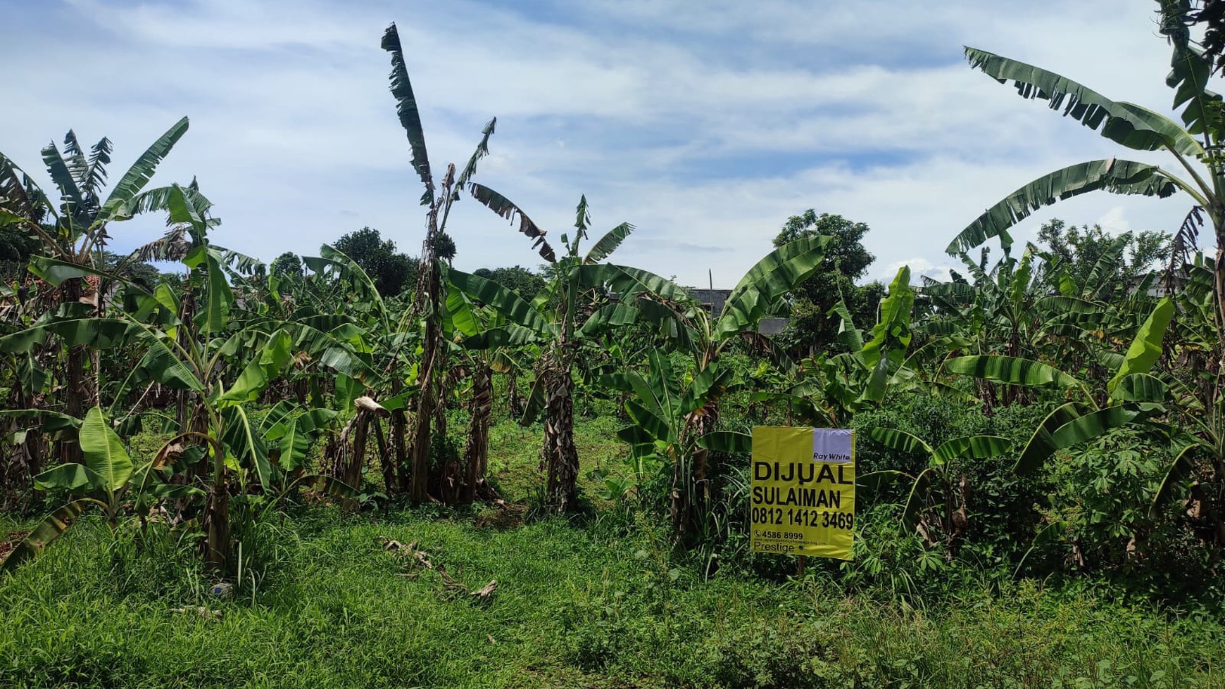 Kavling tanah cocok bangun cluster kecil di Rawa kalong Gunung Sindur