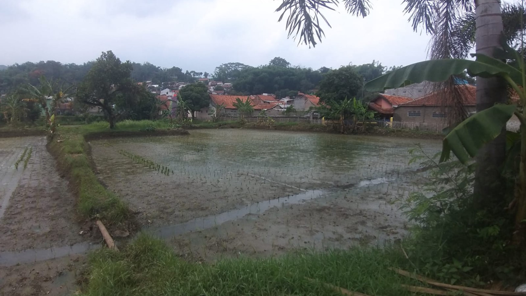 Tanah Strategis Raya Laswi Ciparay 