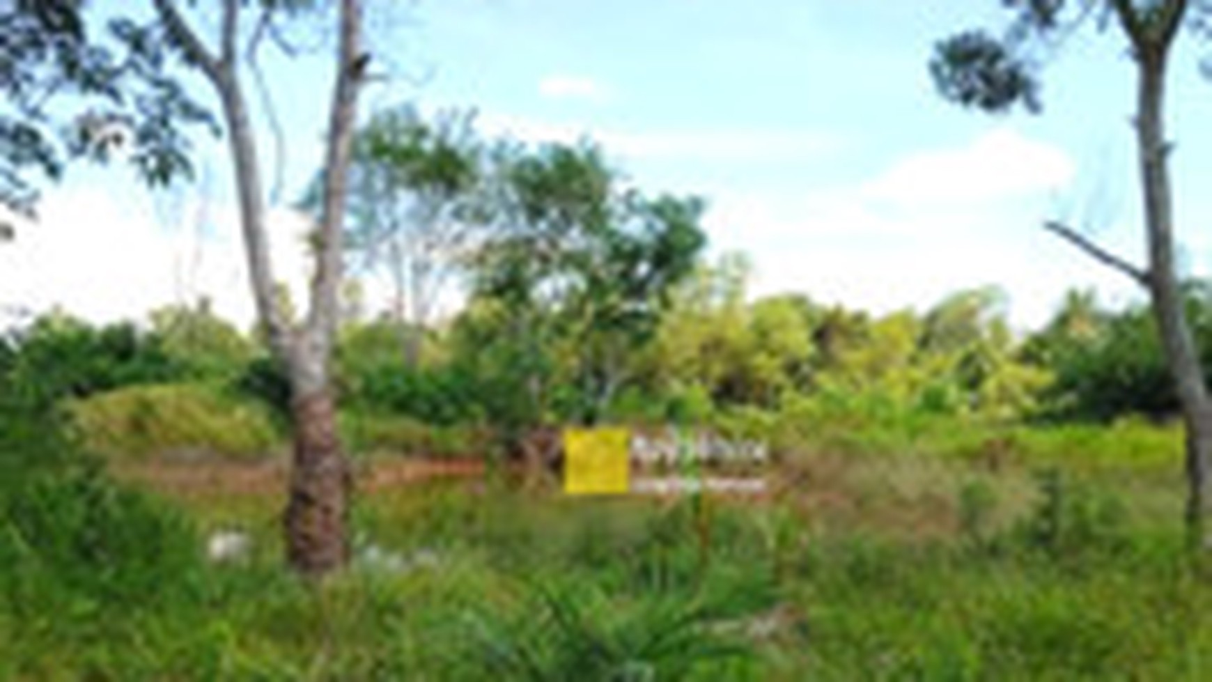 Tanah Murah Pasir Sakti  Lampung Timur Dijual Cepat