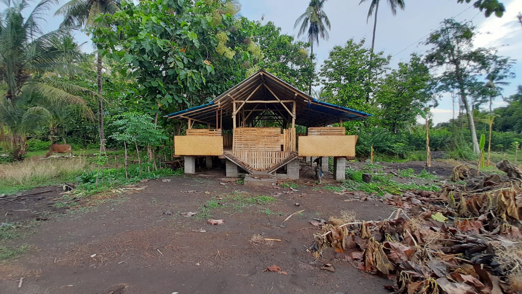 Kavling Pinggir Pantai, Siap Bangun dan Cocok untuk Resort @Gerokgak, Bali