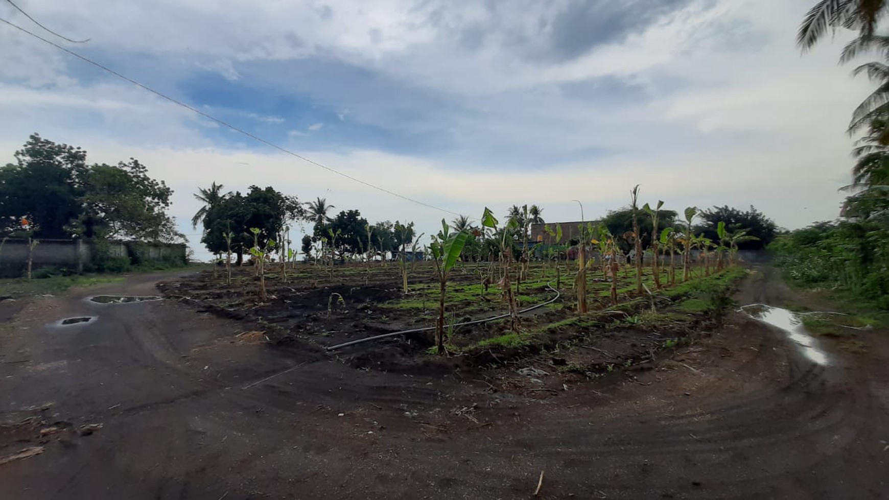 Kavling Pinggir Pantai, Siap Bangun dan Cocok untuk Resort @Gerokgak, Bali